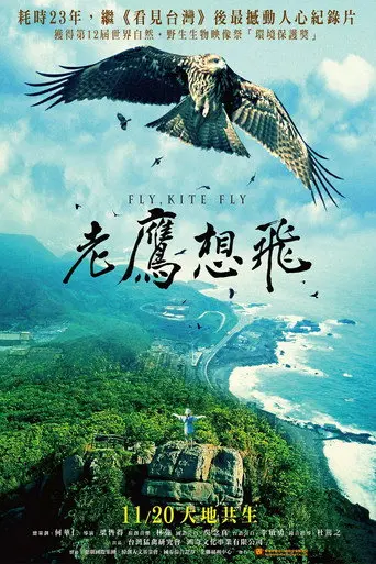 Fly, Kite Fly (2015)