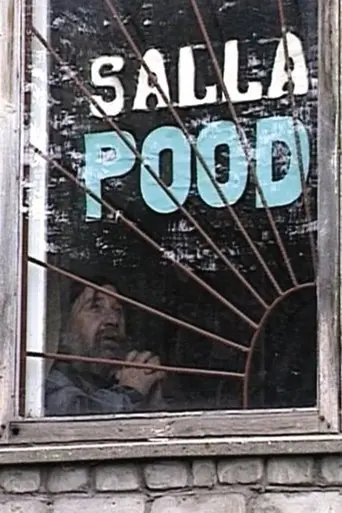 A View from the Mountain (2006)