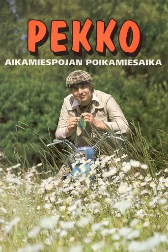 Pekko aikamiespojan poikamiesaika (1993)