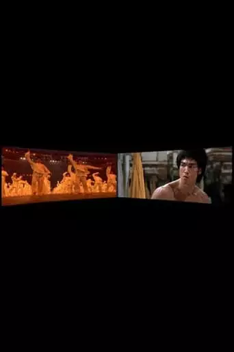 Enter the Dragon 1973-2008 (2010)
