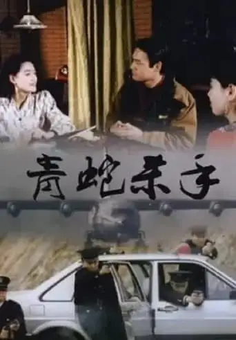 Qing She Sha Shou (1994)