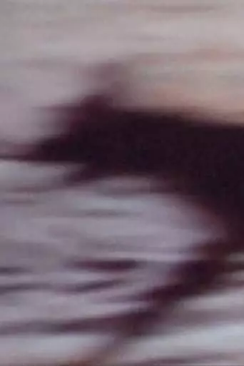 Rituales de registro (2023)
