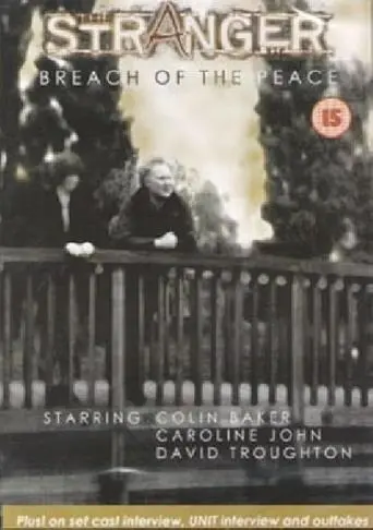 The Stranger: Breach of the Peace (1994)