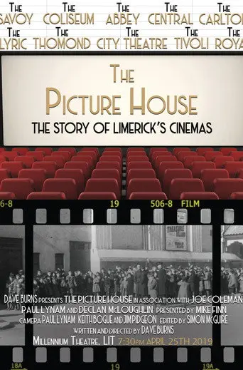 The Picture House: The Story of Limerick's Cinemas (2019)