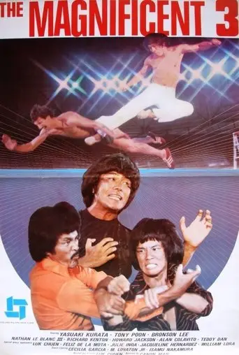 The Magnificent 3 (1980)