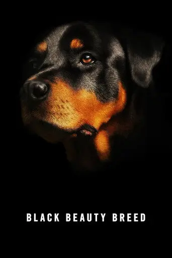 Black Beauty Breed (2014)