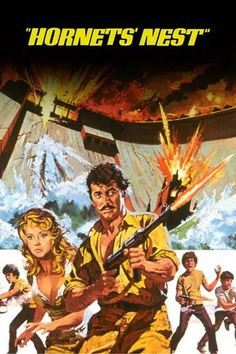Hornets' Nest (1970)