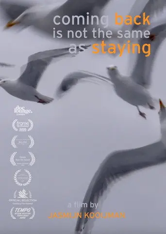 Coming back is not the same as staying (2020)