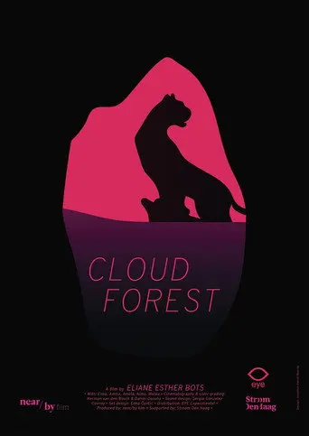 Cloud Forest (2019)