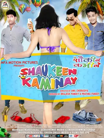 Shaukeen Kaminay (2016)