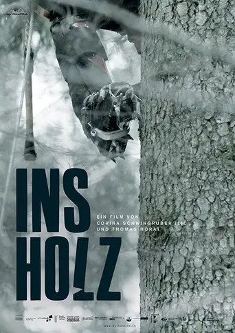 In the Woods (2017)