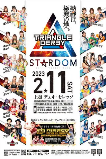 Stardom Triangle Derby I in Joetsu (2023)