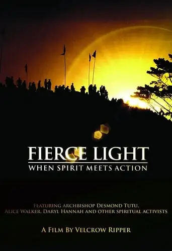 Fierce Light: When Spirit Meets Action (2008)