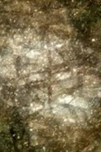 KONTRAST (2015)