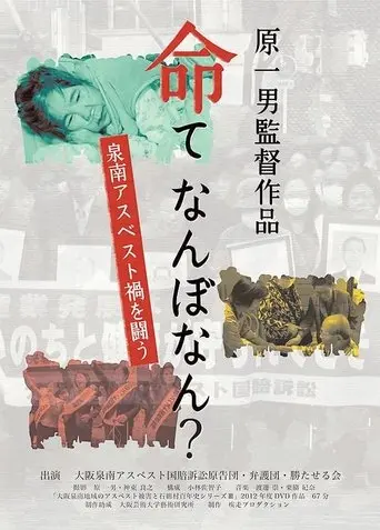 How Much Is a Life Worth? (2013)