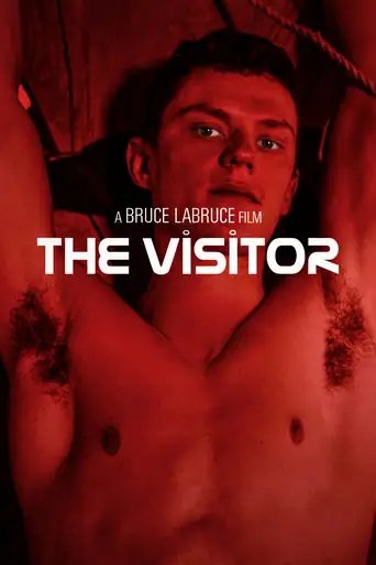 The Visitor (2024)