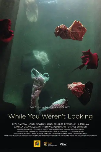 While You Weren't Looking (2015)