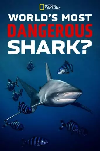 World's Most Dangerous Shark (2021)