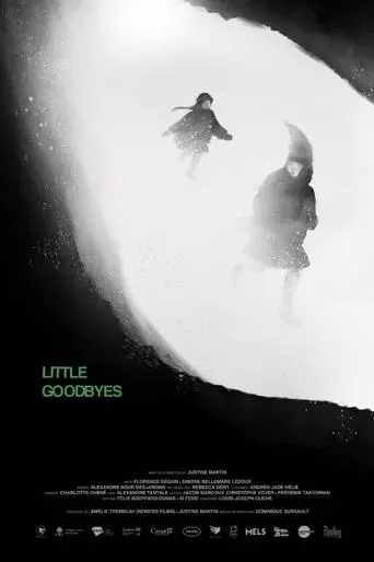 Little Goodbyes (2025)