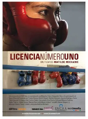 Licencia nº 1 (2008)
