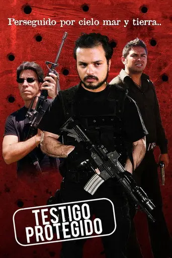Testigo Protegido (2013)