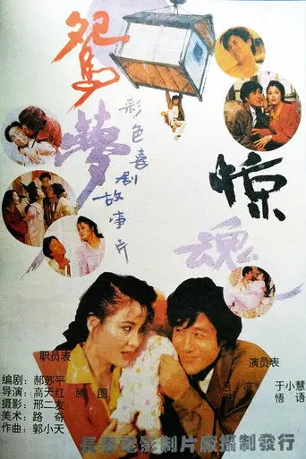 鸳梦惊魂 (1993)