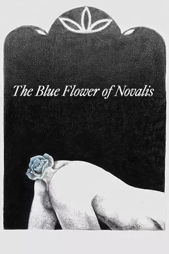 The Blue Flower Of Novalis (2018)