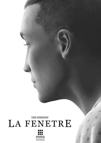 The Window (2014)