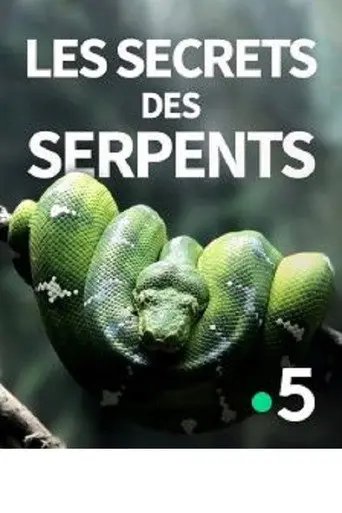The Secrets of the Snakes (2016)