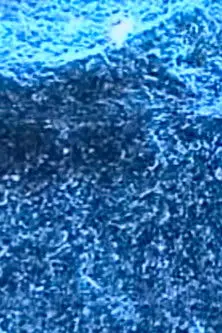 Microscopías (2003)