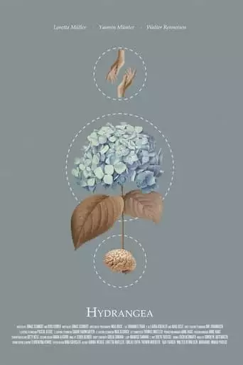 Hydrangea (2021)