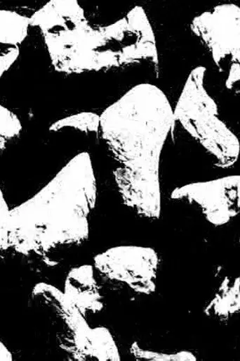 Ecosystem 25 ~ BlacK 2 (2017)