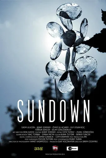 Sundown (2014)