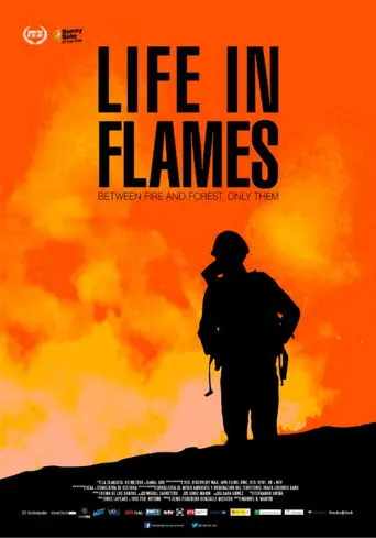 La vida en llamas (2015)