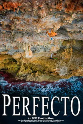 Perfecto (2008)