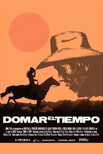 Domar el tiempo (2013)