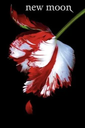 New Moon: The Journey Continues (2010)