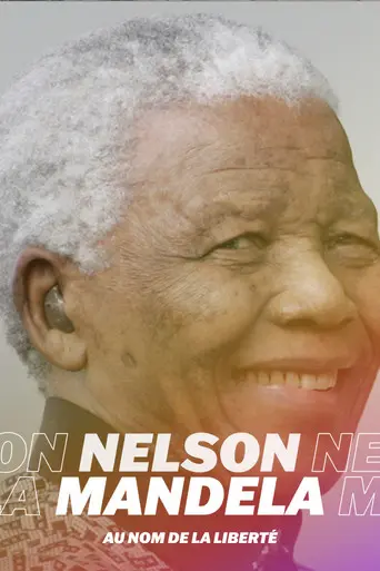 Nelson Mandela, au nom de la liberté (2010)
