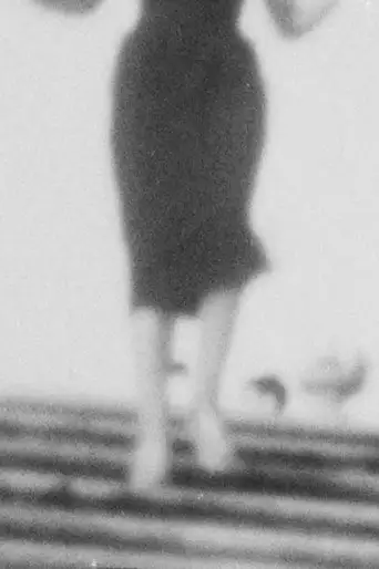 Scale Lente (2019)
