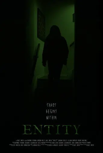 Entity (2026)