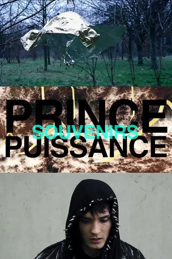 Prince, puissance, souvenirs (2012)