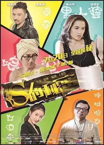 S的秘密 (2017)