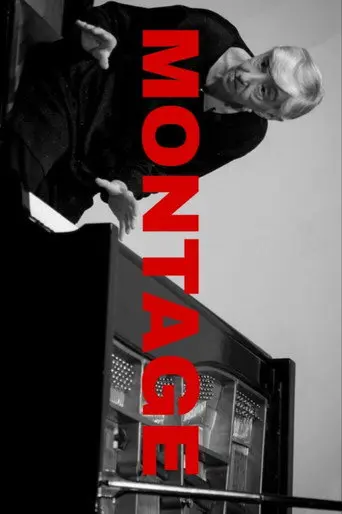 Montage (2015)