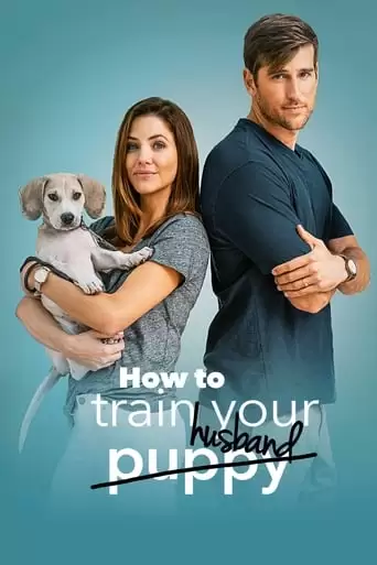 How To Train Your Husband Or (How To Pick Your Second Husband First) (2018)