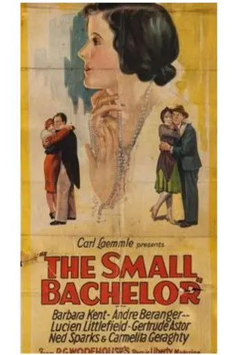 The Small Bachelor (1927)