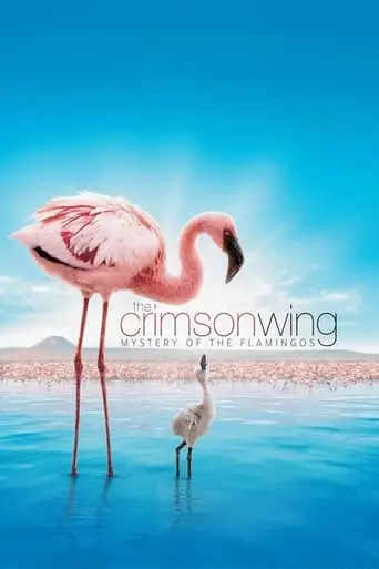 The Crimson Wing: Mystery Of The Flamingos (2008)