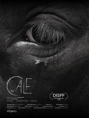 The Calf (2022)