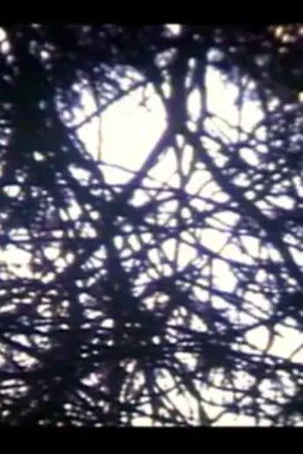 Fragmentos, Primera Impresión en S8 (1999)