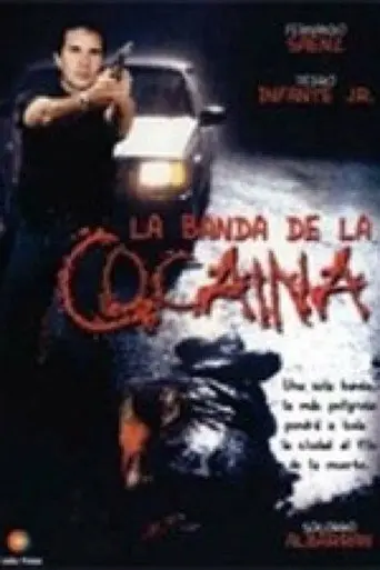 Un ingeniero en la capital (1999)