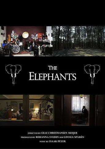 The Elephants (2019)